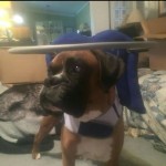 Flood get his Halo Blind Boxer