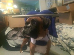 Flood get his Halo Blind Boxer