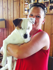 Buster Blind Beagle/Jack Russell Halo