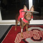 Blurry Blind MIn PIn Halo