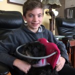 Lady Godiva Blind Shih Tzu Halo
