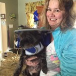 Scruffy Blind Terrier Halo
