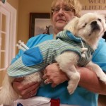 Squishee Newsome Blind Pekingese Halo