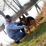 Caesar Blind German Shepard Halo