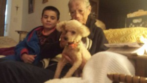 Honey Blind Poodle Halo