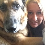Brandee Blind German Shepard Halo