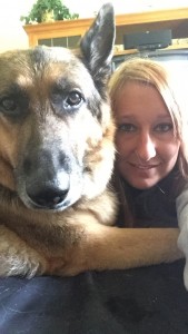 Brandee Blind German Shepard Halo