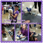 Jackson Blind Poodle Halo