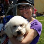 Jackson Blind Poodle Halo