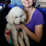 Jackson Blind Poodle Halo