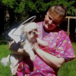 Max Blind Shih Tzu Halo