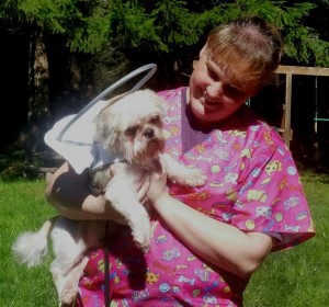 Max Blind Shih Tzu Halo