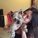 Trust Blind Yorkie Halo