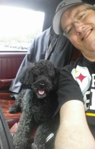 Boomer Blind Poodle Halo