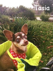 Tasia Blind Chi Halo Bumper