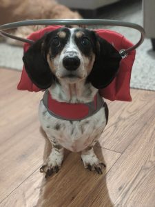 Archer Blind Doxy